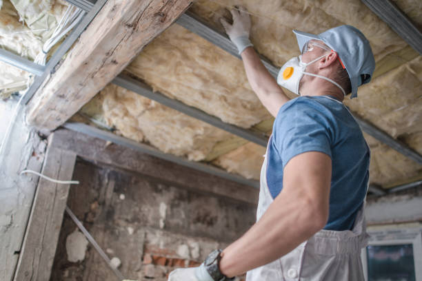 Best Fiberglass Insulation  in Friendly, MD