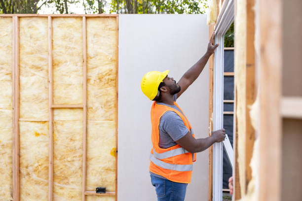 Best Cellulose Insulation  in Friendly, MD