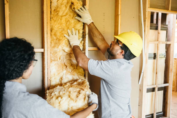 Best Energy-efficient Insulation  in Friendly, MD