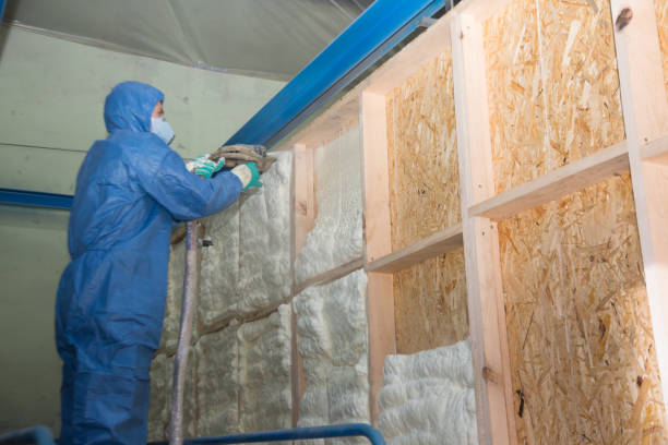 Professional Insulation Contractor in Friendly, MD