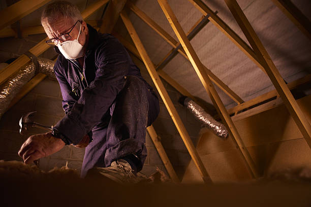 Best Attic Insulation Installation  in Friendly, MD
