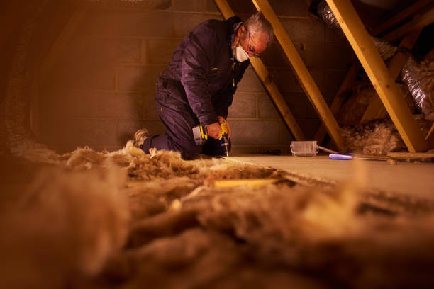 Best Insulation Repair Services  in Friendly, MD